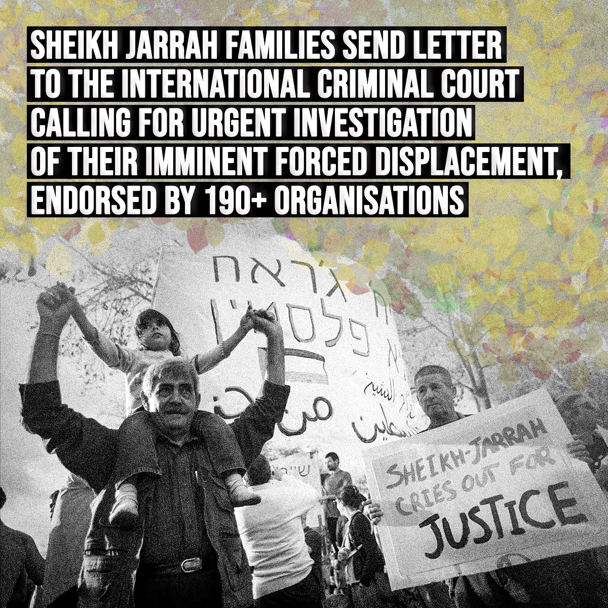 Caabu Sheikh Jarrah families ICC