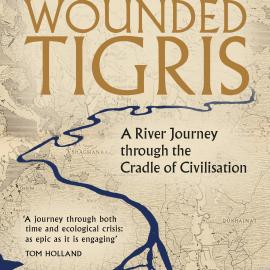 Wounded Tigris Caabu Leon McCarron