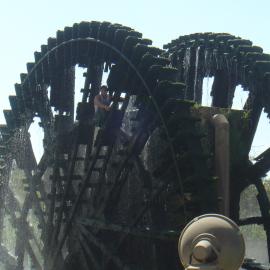 Hama
