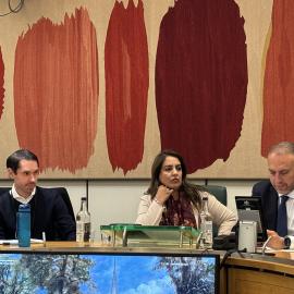 Parliamentary briefing
